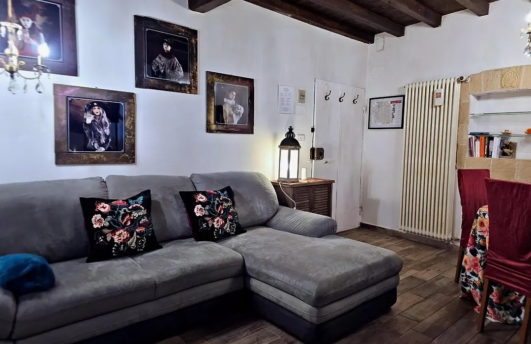 LOFT SARAGOZZA GIPSY in centro vicino a Piazza Maggiore-1