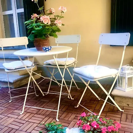 Le Palme-3