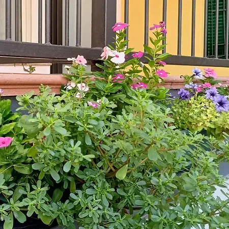 Appartamenti Borghetto San Donato 105-3