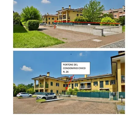 Bilobolo-3