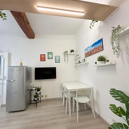 Mondo House-2
