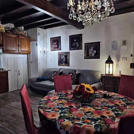 LOFT SARAGOZZA GIPSY in centro vicino a Piazza Maggiore-2