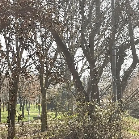 Casa Pinu-2