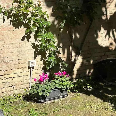 Oasis In The Center With Garden By Synergy Up To 5 Guests-3