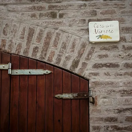 Accademia al Colle-3