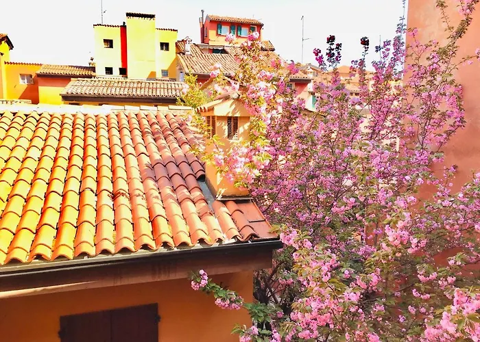 Falcone 22 Bologna
