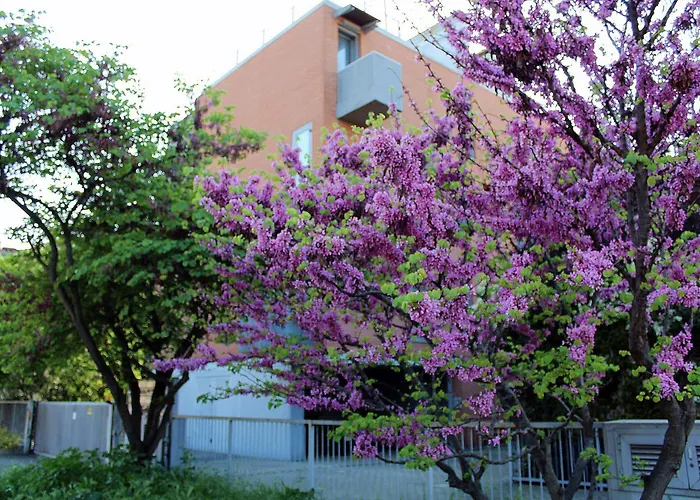 Appartamento Levante Bologna