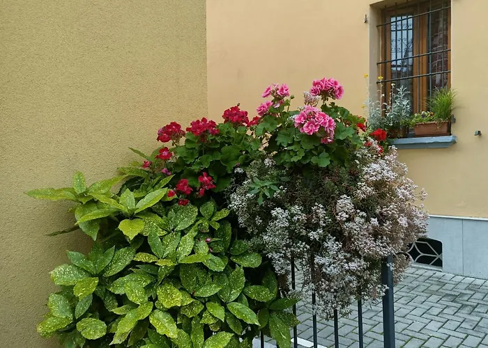 Appartamenti Borghetto San Donato 105 Bologna