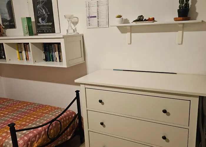 Stanza in appartamento privato Zona San vitale Bologna