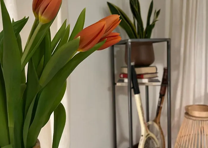 Cozy Studio Apartment Bologna